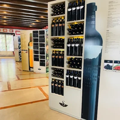 01 BODEGA STRATVS