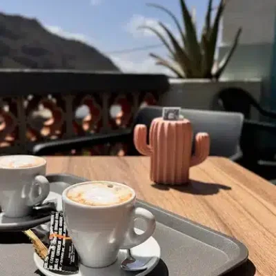 02 HIGO PICO FLOWER 02 HIGO PICO FLOWER