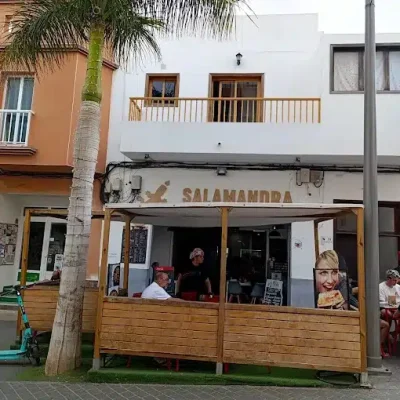 03 SALAMANDRA STECK BAR