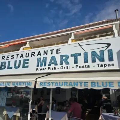 04 BLUE MARTIN