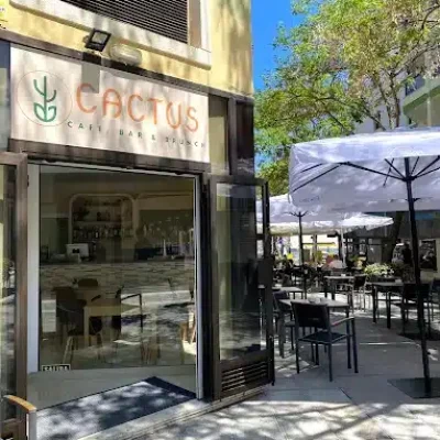 05 CACTUS BRUNCH