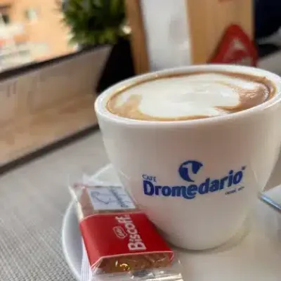 taza Dromedario